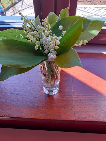 Albisser Hund Claudia, Photographe à Mantry