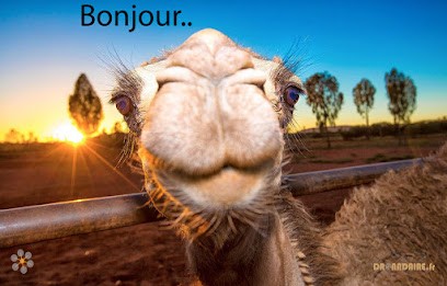 Dronadaire, Développement de Photos à Biscarrosse