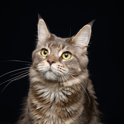 Studio Loïc Photographe, Photographe à Rezé