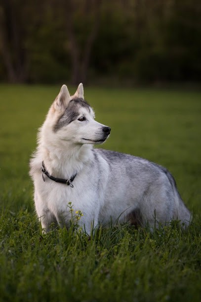 Benjiday - DAIMEE Benjamin, Photographe à Wentzwiller