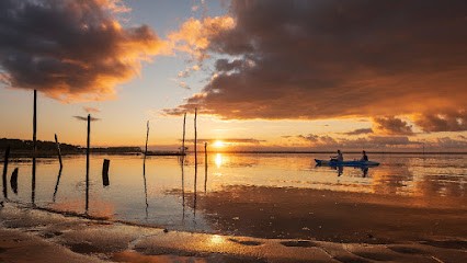 Emmanuel Fazembat Photographe, Photographe à Lège-Cap-Ferret
