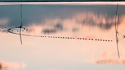 Photographe/globetrotteuse MONTOLIEU, Photographe à Montolieu