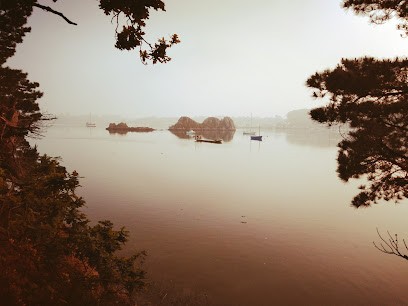 Patrice LE BRIS, Photographe à Goudelin