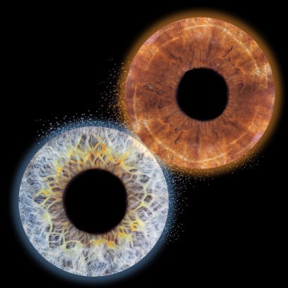 EDM Photographie (Photos d'identité et ANTS, Photographe professionnel, impressions professionnelles), Photographe à Lunéville