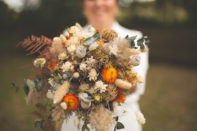 Le Corbeau photographe, Photographe à Legé