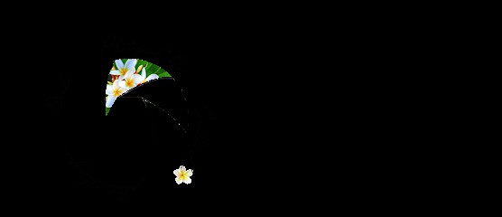 Photograf'hic - Coralie Hic -, Photographe au Plessis-Sainte-Opportune