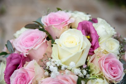 Sandra LH Photographie - Pas D’identité, Photographe à Fameck