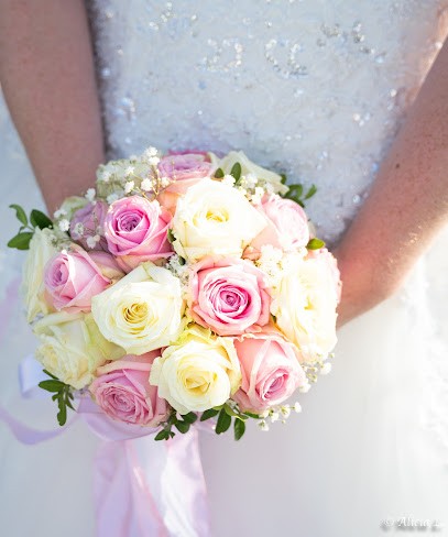 Studio Alicia PhotoShoot, Photographe à Fourmies