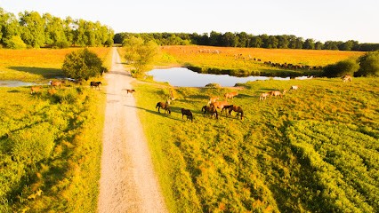 NOGUEIRA Joachim, Photographe à Saint-Vincent-de-Paul