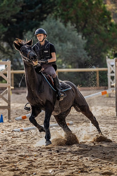 Image Et Design - Photographe/infographiste Bénévole - Animalier, évènementiel Etc....., Photographe à La Celle