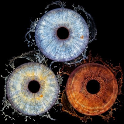 IRIS by Trinley à Perpignan/Théza 66, Photographe à Théza