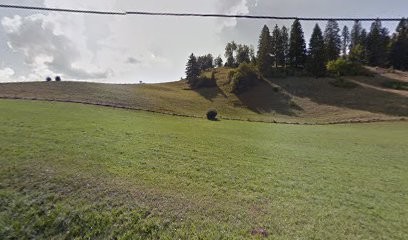 Bornephoto-illicopresto, Photographe aux Gras