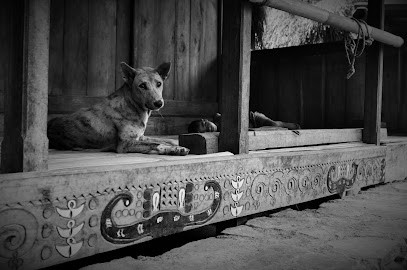 Elocks Photographe, Photographe à Quincey