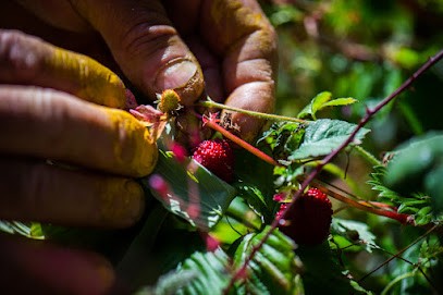 Benoît Teillet Photographe, Photographe au Pré-Saint-Gervais