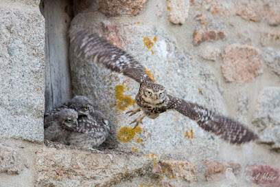 Pixarmor, Photographe à Pleumeur-Gautier