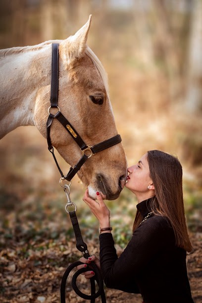 Delphine Chevallier Photographie, Photographe à Rouillon