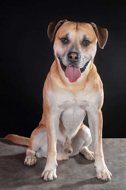 Temps d'un reg'Art, Photographe à Toufflers