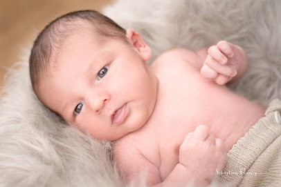 Sébastien REMY PHOTOGRAPHE, Photographe à Failly