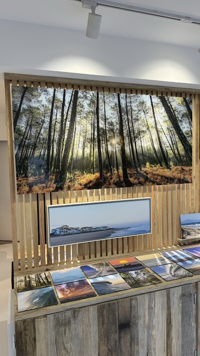 La Griffe Photographie, Photographe à Angresse