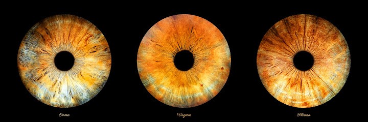 Iris Galerie Sanary, Photographe à Sanary-sur-Mer