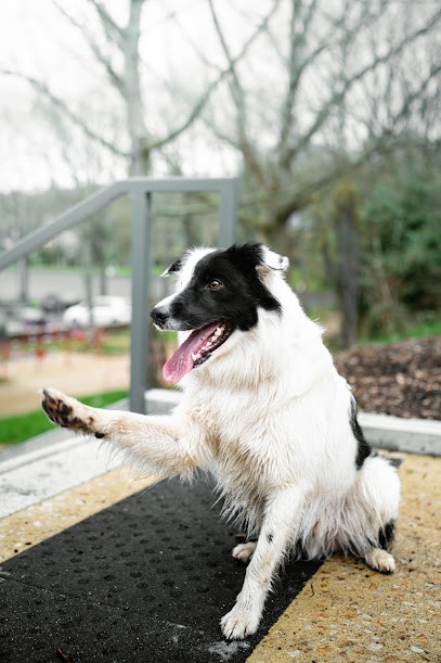 DBY PHOTOGRAPHY, Photographe à Granville