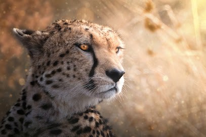 Flo_Numerique, Photographe à Tignieu-Jameyzieu