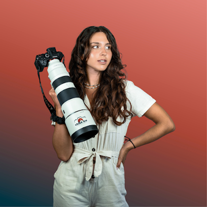Chloé Lrc Photographe Photographe à Tarbes