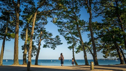 Damien De Labarrière - Photographe, Photographe à Pessac