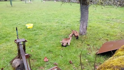 Christophe PENEL Photographie, Photographe à Vic-sur-Cère