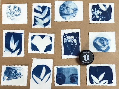 Nature et cyanotype, Photographe à Châteaubriant