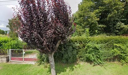 Nono Le Photographe, Photographe à Escles