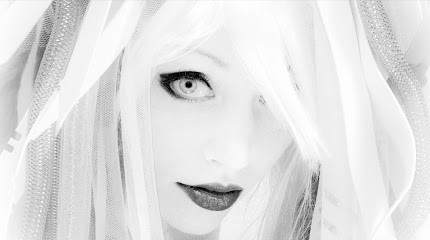 Photographe La Celle Saint Cloud, Photographe à La Celle-Saint-Cloud