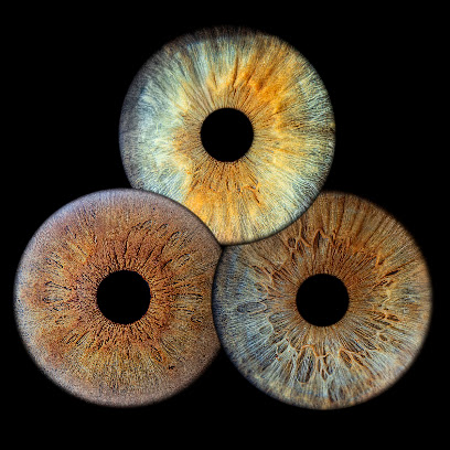 Iris Vision Reims Photographe à Reims