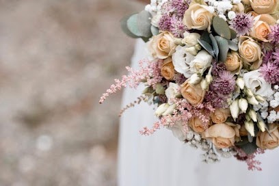 Maud Venel, Photographe à Prévessin-Moëns