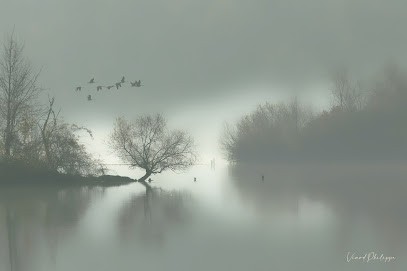 Phil Art, Photographe à La Ville-du-Bois