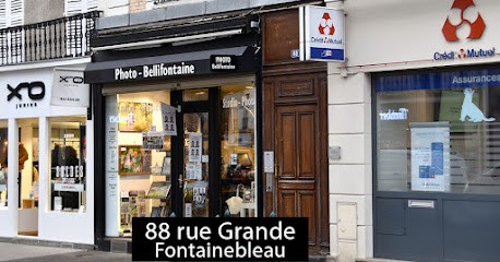 Photo-Bellifontaine, Photographe à Fontainebleau