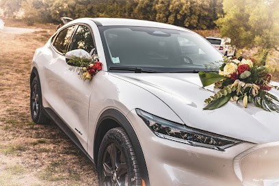 PARET PRODUCTION, Photographe à Grabels