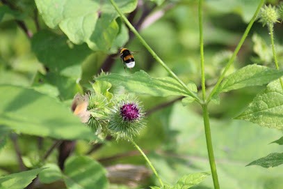 En Image, Photographe à Montfleur