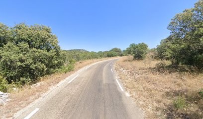 Forel Fabienne, Photographe à Saint-Hippolyte-du-Fort