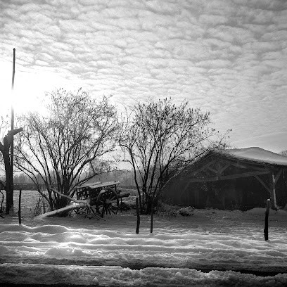 Atelier Photo Philmer, Photographe à Coutras