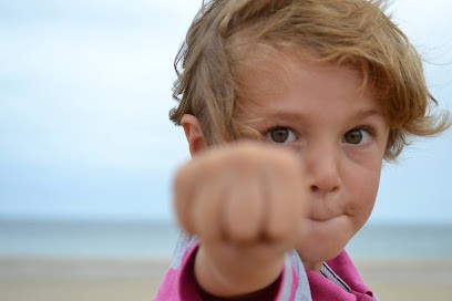 Marie-Claire Baudy - Photographe Lifestyle, Photographe à Louviers