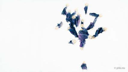 Phb Creation, Photographe à Montauban