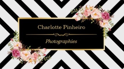 Charlotte Pinheiro Photographies, Photographe à Brive-la-Gaillarde