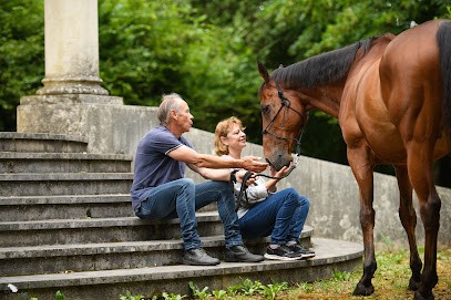 Horse In Light, Photographe à Levainville
