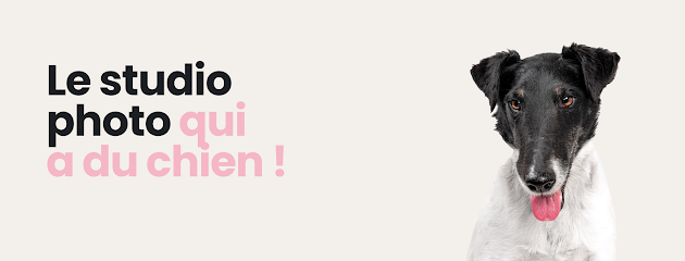 Studio Wouf Photographe à Annecy