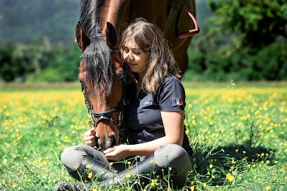Alezanegraphy, Photographe à La Teste-de-Buch