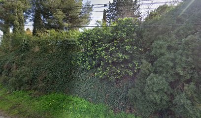 ELOPHE JEAN, Photographe à La Londe-les-Maures