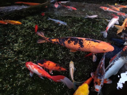 Emeraud'air, Photographe à Saint-Malo