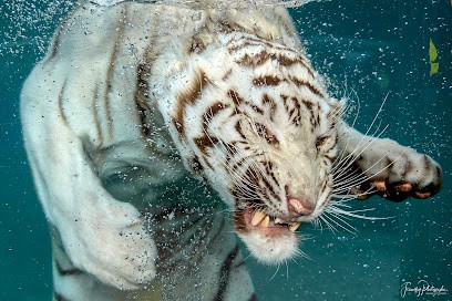 Francky Photographe / Tonton Francky Snake, Photographe à La Garde-Adhémar