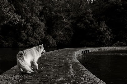 Céline Art Studio, Photographe à Roscoff